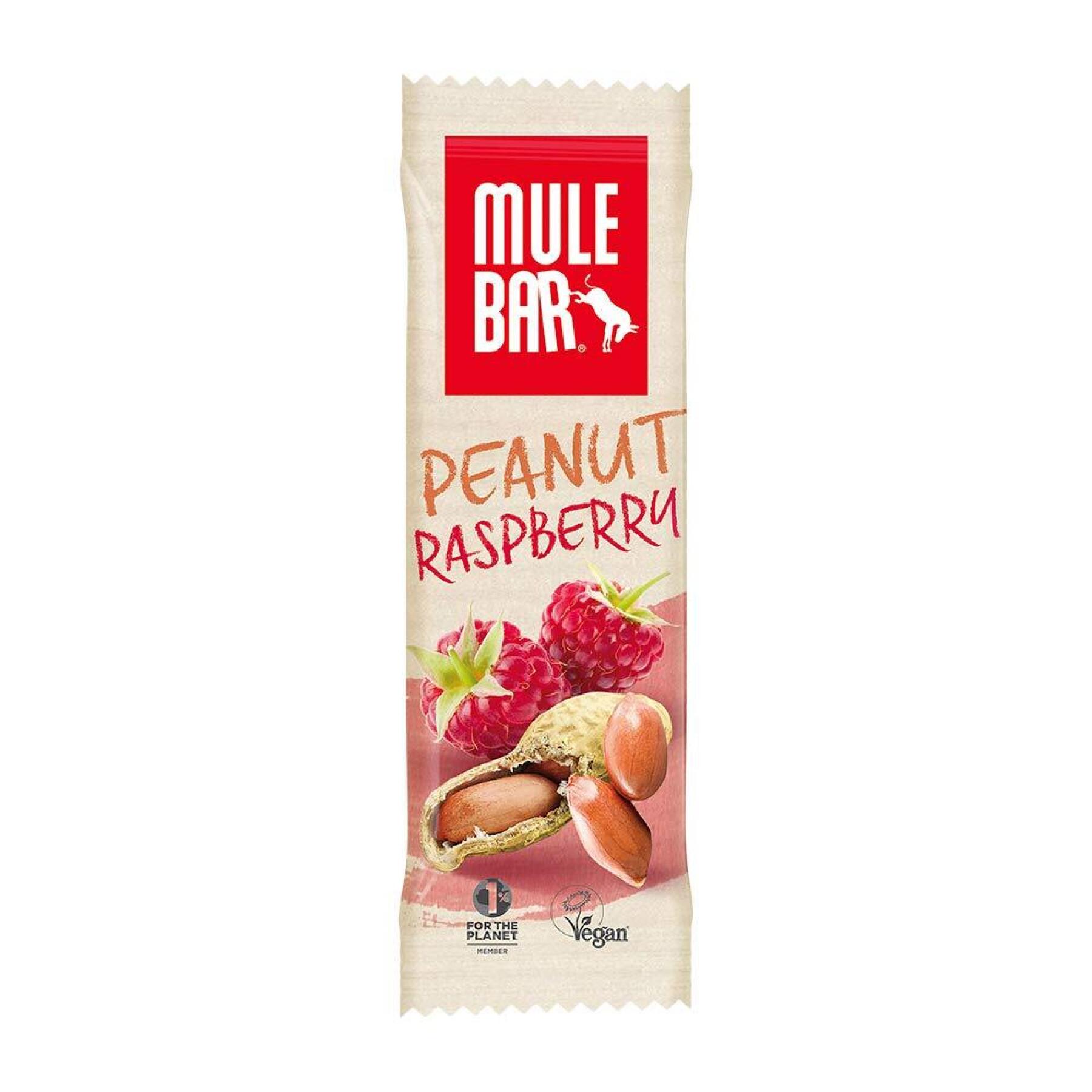 Batch of 15 nutrition bars peanut, raspberry Mulebar 40g