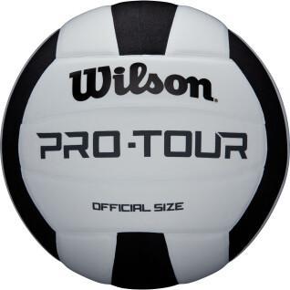 Volleyball ball Wilson Pro Tour