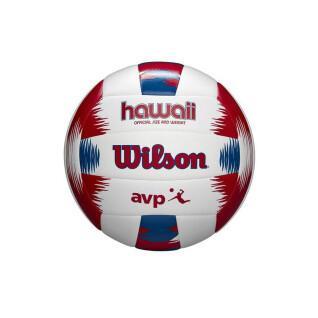 Volleyball Wilson Hawaii AVP