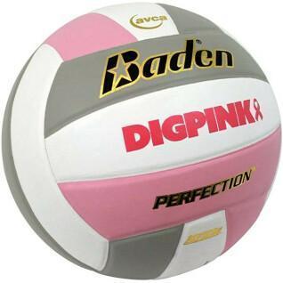 Volleyball ball Baden Sports Perfection