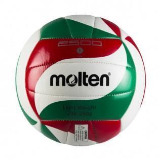 Training ball Molten V5M2501-L