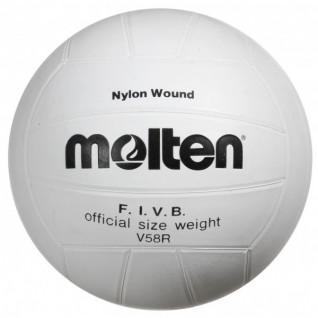 Leisure ball Molten V58R