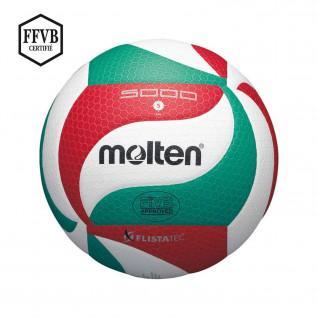 Competition ball Molten V5M5000 LNV