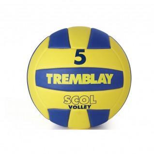 Tremblay scol'volley ball