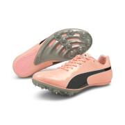 Shoes Puma EvoSpeed Sprint 10 (Unisex)