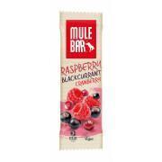 Batch of 15 nutrition bars blackcurrant, cranberry, raspberry Mulebar 40g
