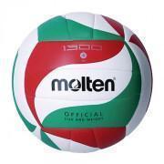 Volleyball Molten 300